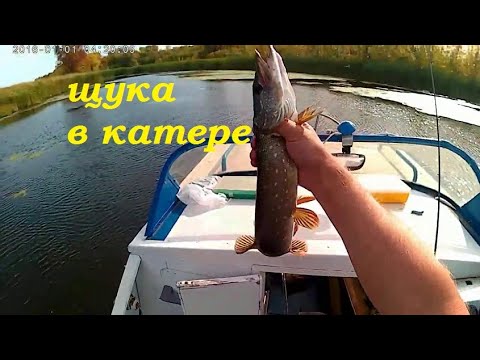 Рыбалка с катера "Москва-2"! (Мелководный режим.)