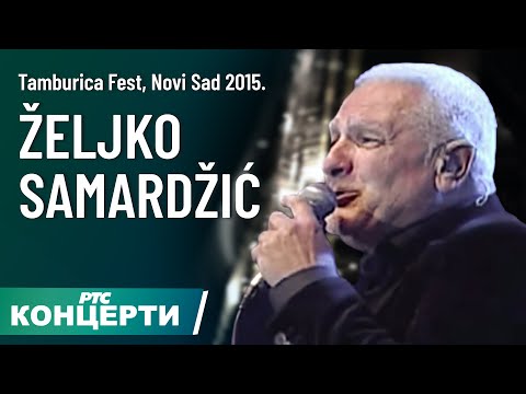 TAMBURICA FEST 2015 / Željko Samardžić
