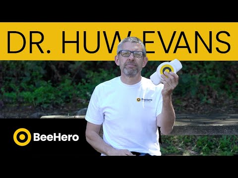 BeeHero's Technology - Dr. Huw Evans logo