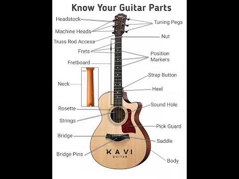 Know Your Guitar Parts | Acoustic Guitar Parts | Xavi Guitar |