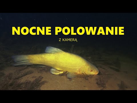 NURKOWANIE JEZIORO JELEŃSKIE 18.01.2023