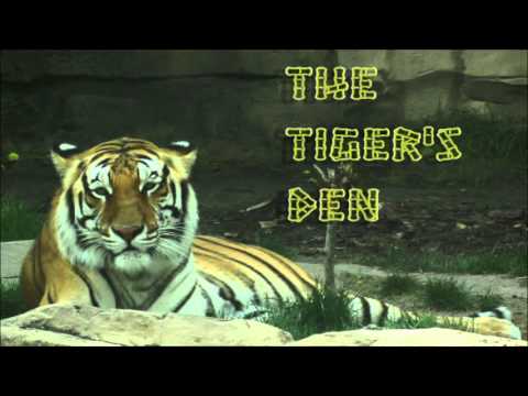 January 4th Power Trading Hour with David White on TFNN - 2016