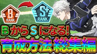 【ブルーロックPWC】BからSになる！育成方法総集編！見ないと損!