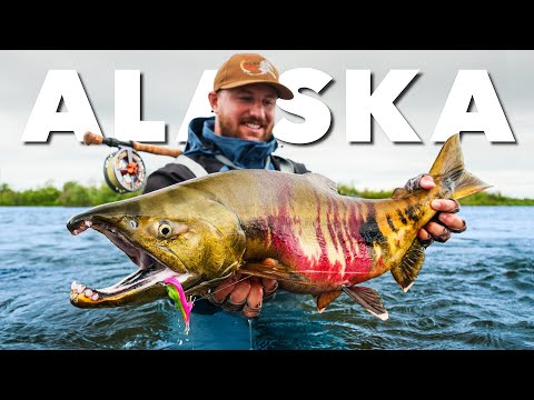 One Week Fly Fishing in Alaska! (Alaska Rainbow Lodge)