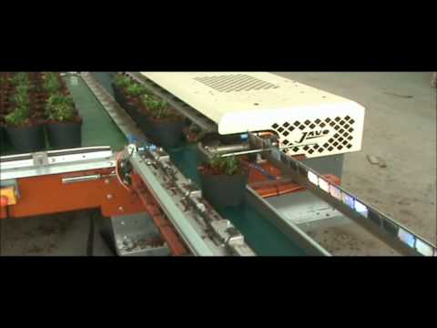 Javo Project Baanplant Son & Koot