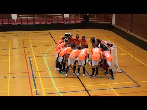 SB Vaasa-Blue fox, D-tytöt 16.2.2014, "Yritä ja koita..."