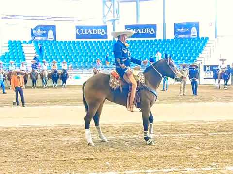 BRAULIO ARREDONDO 3 REGALOS DE CANCÚN QUINTANA ROO...