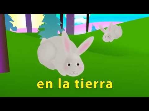 🎶 Saltando los Conejitos - Canción para niños  Canción infantil Miss Rosi Miss Rossy Kids Spanish