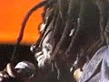 Buju Banton - Mighty Dread - *Live* at Chiemsee Reggae Festival 2001