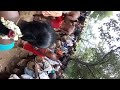Annamar Attam Karupparayan Koil Soorimettu Karupparan Koil Gobichettipalayam