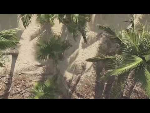 Russian And Chinese Marines Invade A Tropical Island During Massive Amphibious Assault Beach Landing