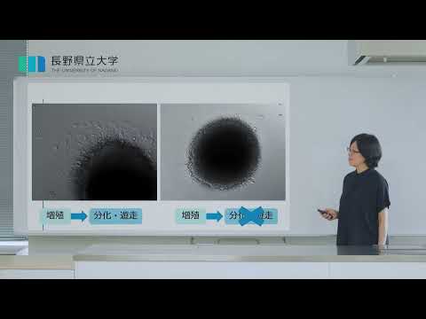 社会福祉学科 【基礎健康栄養科学分野】石井陽子教授インタビュー（長野県立大学大学院健康栄養科学研究科）