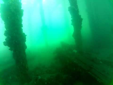 Edithburgh Live by AusOcean 06/02/2023