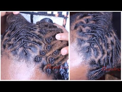 download lagu mp3 mp4 Spider Dreads, download lagu Spider Dreads gratis, unduh video klip Spider Dreads