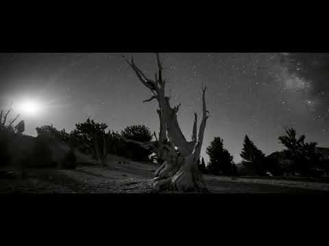 Loni Cash - Lonely Angel (Long Mix)