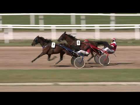 2020.08.22. 05. futam - GRÓF ESTERHÁZY MIKLÓS MÓRIC EMLÉKVERSENY (NÜL-IV.)