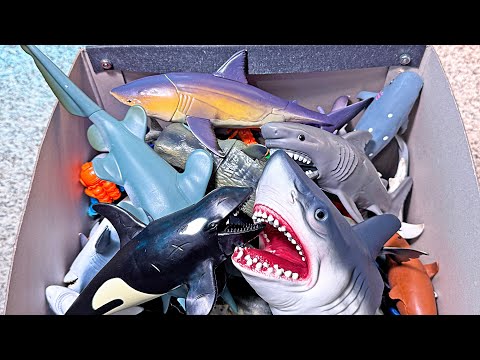 Fun Sea Animals Toys - Shark, Megalodon, Hammerhead Shark, Orca, Dolphin, Giant Octopus, Sailfish
