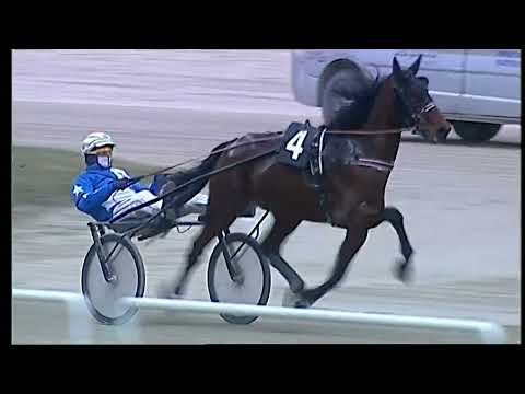 Napoli Trotto 28/01/2022 - 7ª corsa