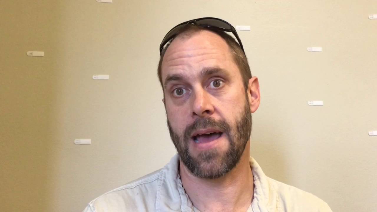 Two types of lead testing: what you need to know