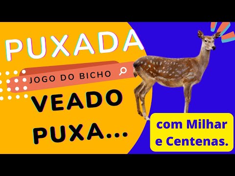 Puxada do Veado Com Milhar e Centenas -  #Puxadaveado #puxadajogodobicho2023 #puxadajbpremiada