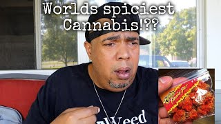Flaming Hot Cheetos strain review!