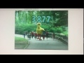 Episode 3877 Title Card