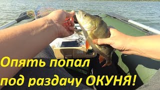 Рыбалка отчет сенеж