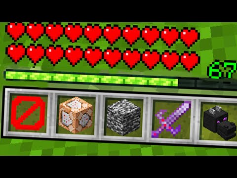Collecting Illegal Items in Minecraft SMP