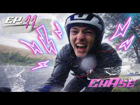 Roofless Cat and 5 more