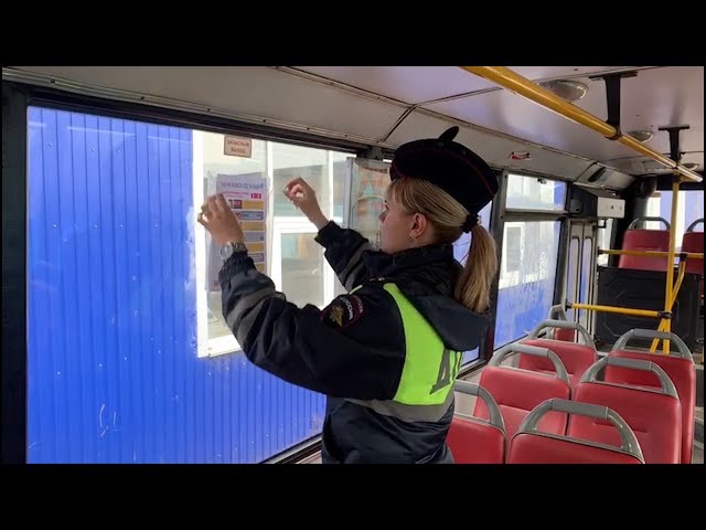 Безопасность пешеходов – дело рук самих пешеходов