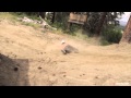 Dolphin Like Spasm To Face Plant On Mountain Bike Epic Fails