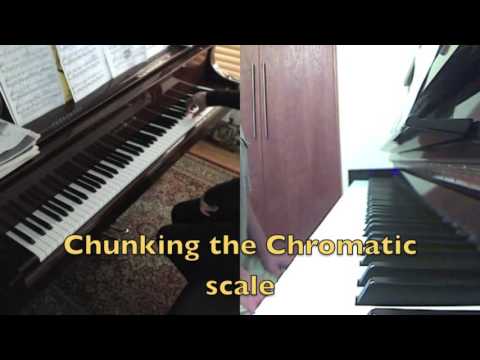 Piano Lesson: Chopin Nocturne in E minor:  Practicing the trill and chrom. scale, M.36, 37, and 38