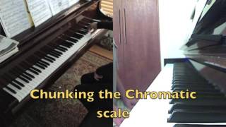 Piano Lesson: Chopin Nocturne in E minor:  Practicing the trill and chrom. scale, M.36, 37, and 38