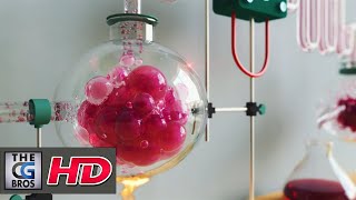 CGI Animated Spot HD: "ANII" - by ENANO MALDITO