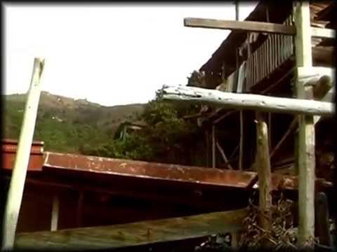 Santo Domingo Savio: Un Vistazo en 60 Segundos