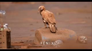 AZYMUTH - Rio Doce (Alex Malheiros)