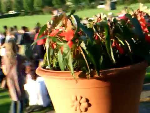 Love Bomb - Lovebomb (Lynsey de Paul song)