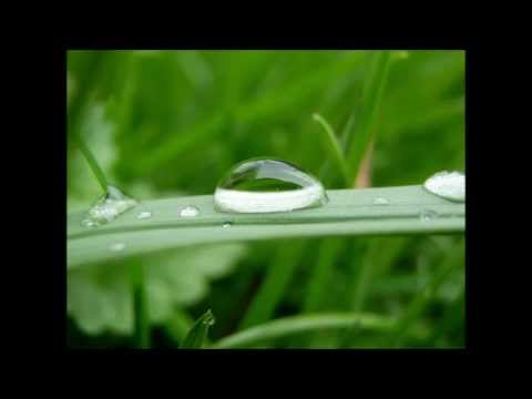 Tabu - Wyimaginowany świat