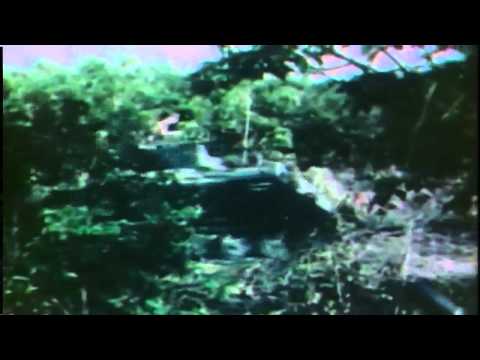 excellent phrase think