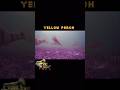 Video Thumbnail for Perch fishing #fishing #shorts #fishingvideo