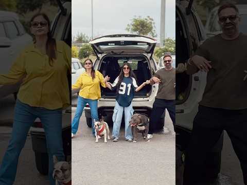 This Time with Brody Bunny ❤️ #dance #dogs #harpreetsdc | Harpreet SDC