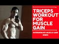 Triceps workout for muscle gain | intermediate series for muscle gain | rahul fitness official