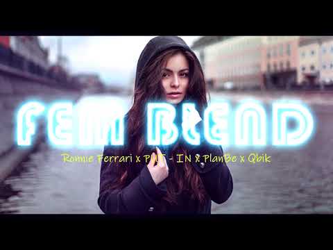 🎧Ronnie Ferrari x PUT   IN x PlanBe x Qbik (FEM BLEND) *deep house*