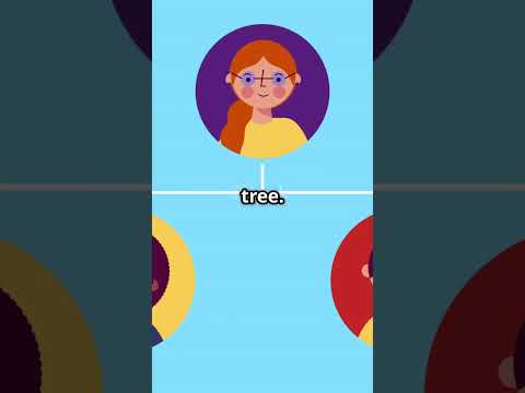 Learn Prototypal Inheritance Fast Javascript Tutorial