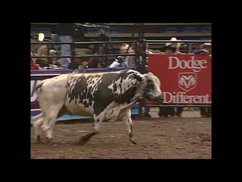 Double Trouble bucks Justin McBride - 00 PBR Uniondale