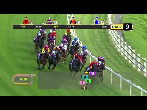 Fortune Bowl 2020 (Bold Thruster)