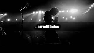 Pearl Jam - Bugs SUBTITULADA ESPAÑOL