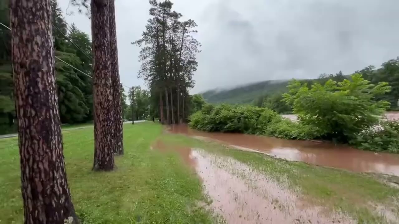 Schoharie Creek Floods and Swallows Nearby Road || ViralHog