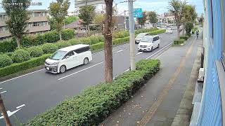 平塚市平塚東海道ライブカメラ live webcam