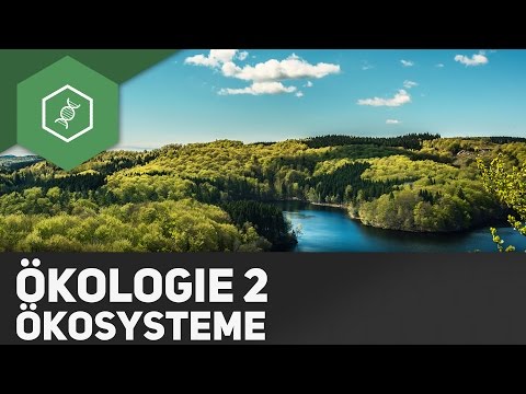 Ecosystems - Ecology 2